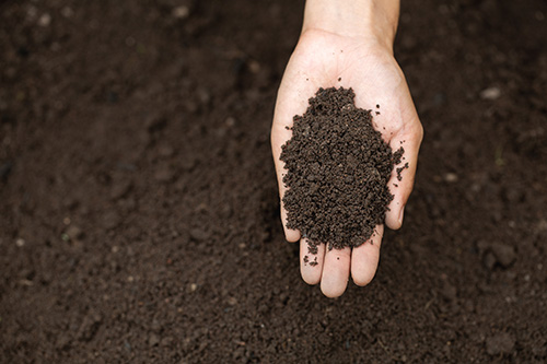 Soil - dirt - composting